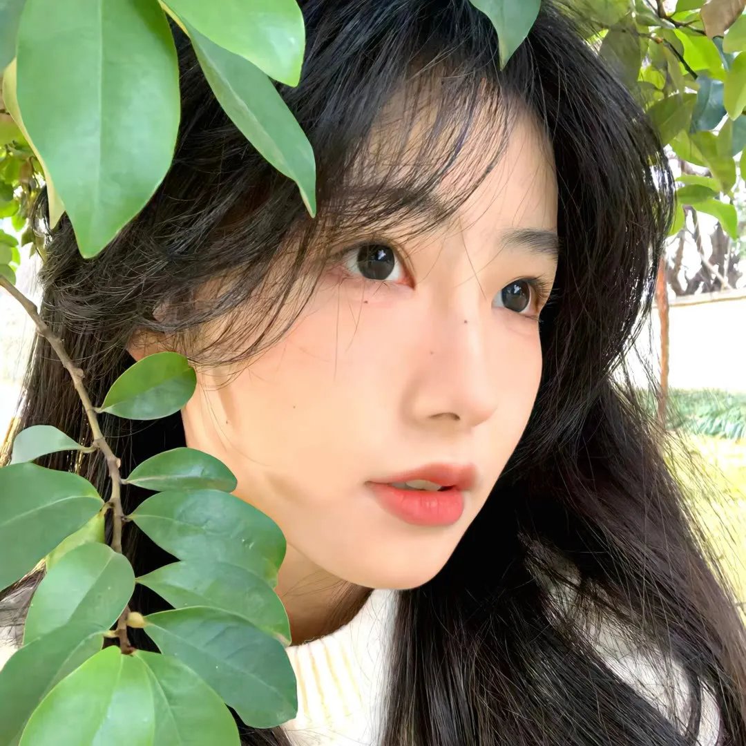 丫鬟不好惹